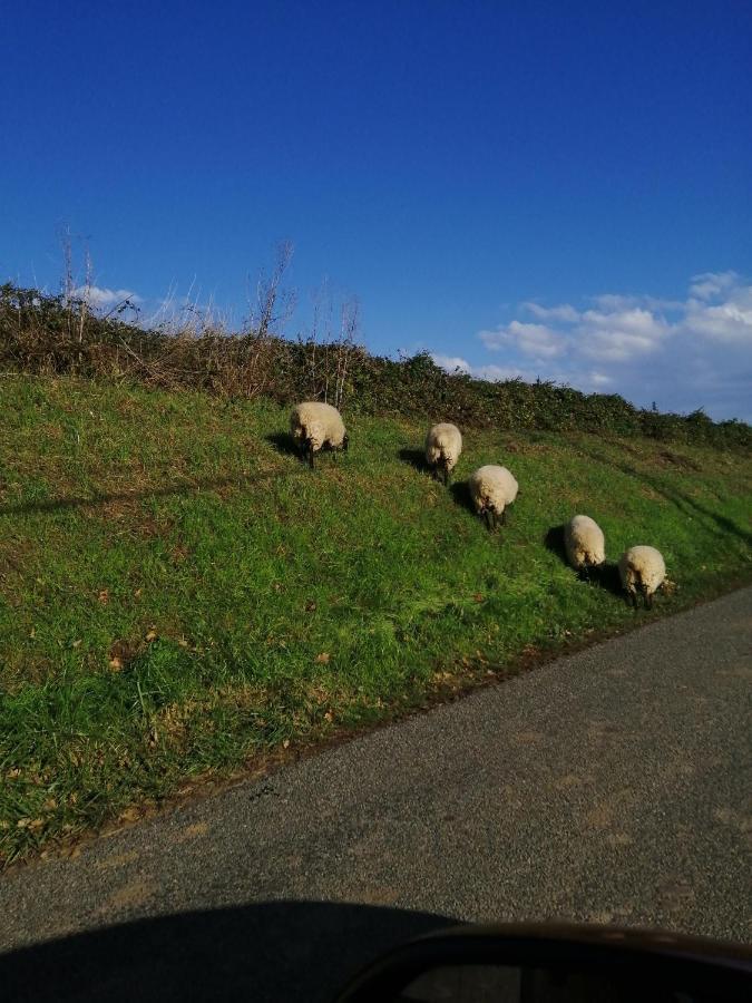 Au Repos Du Verger Couvrelles Luaran gambar